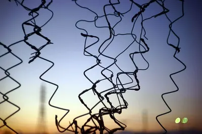 Barbed Wire