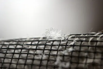 Insect screen
