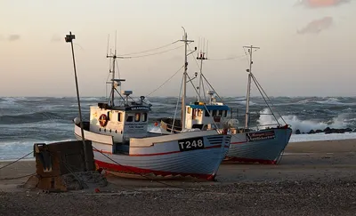 Yachts - fishing boats - pleasure craft