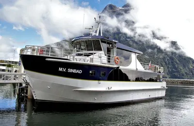 Rigid inflatable boat