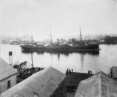 HMS 1
