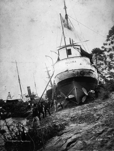 HMS