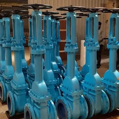 Forged Steel Globe Valves by Bonny Valve Co., Ltd.