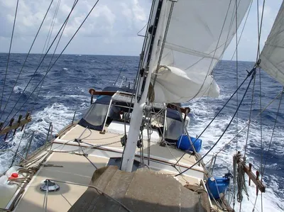 Corn Sailage