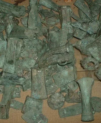 Brahman cross and other bos indicus