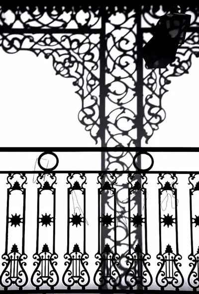 CINT Iron Solar Fencing