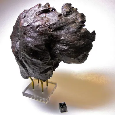 Bronze Lion Sculpture