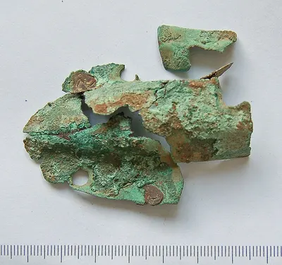 Fossil mint