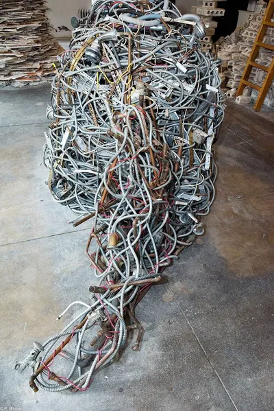 Nicole Wire