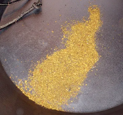 AU Gold