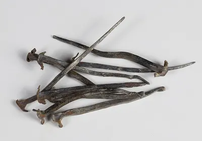 Natural Silvervine Sticks for Cats