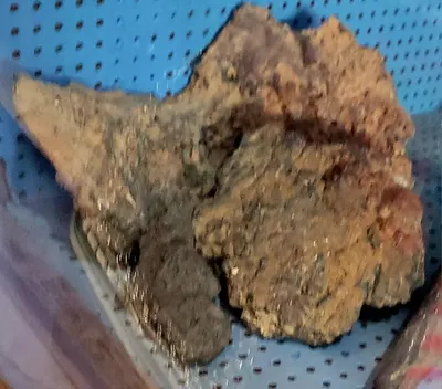 Solomon Dead Coral