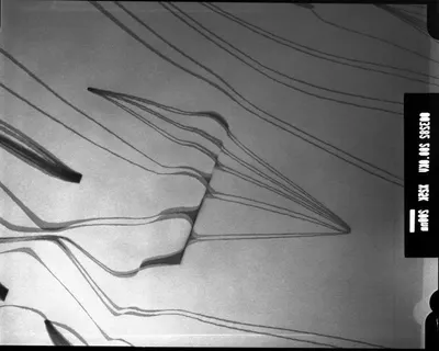 Fin lines