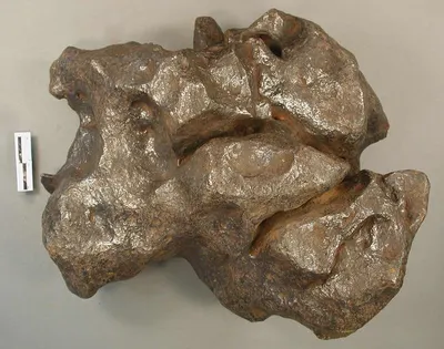 Bronze Turtle Sculpture