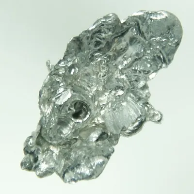 Silver fox
