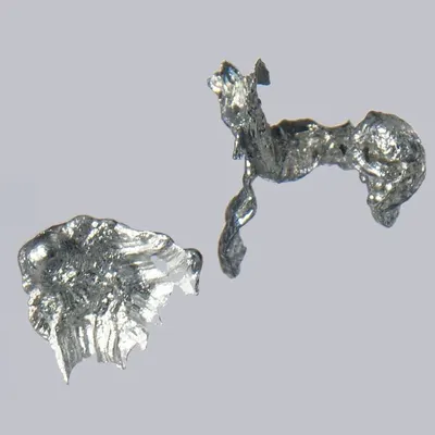 Pendant  - Hyppotragus Antelope