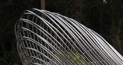 Wire rod