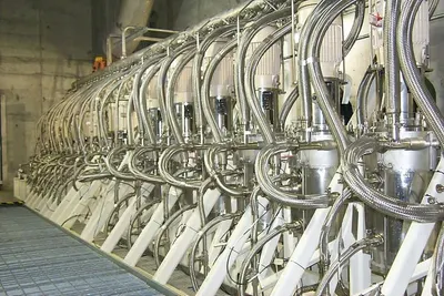Lakto Ak Milking Cluster