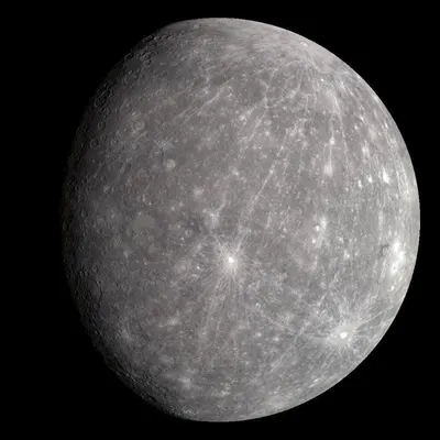 Luna by Rida International