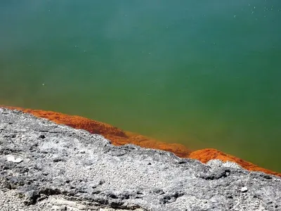 Lac