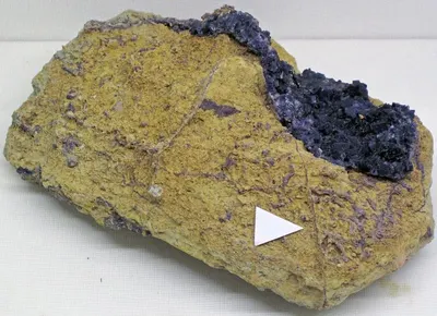 Tetramethylethylenediamine