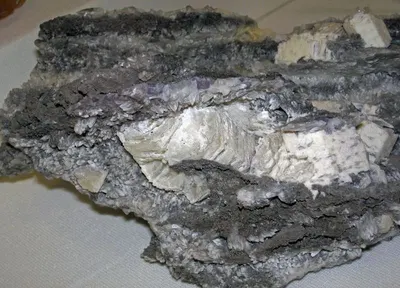 Fish Skin