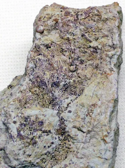 Barite Ore