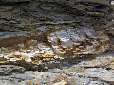Bentonites For Paper Production