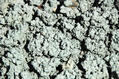 Speckled slate