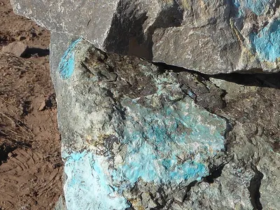 Chrysocolla Slab & Surface