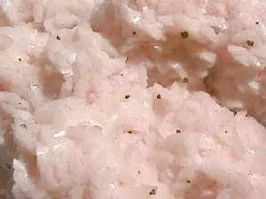 Idly Rice