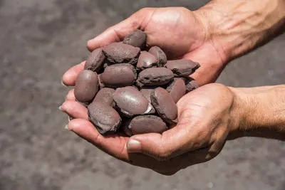 Red Pebbles