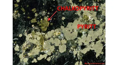 Champanhe Fantasy