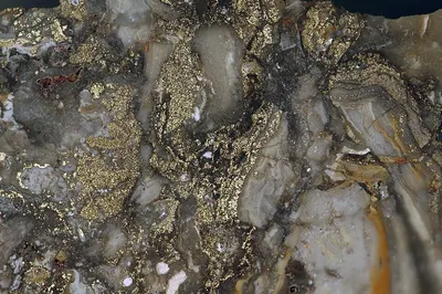 Gold Markino Granites