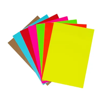 A4 File Folder 31X22CM Color 15C