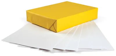 Hammermill Premium Color Paper 28lb, 8.5" x 11" by Thai Peace Pulp (Thailand) Co., Ltd