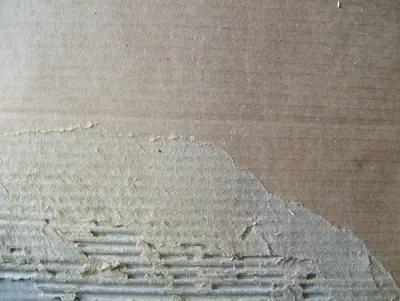 Paper overlaid plywood