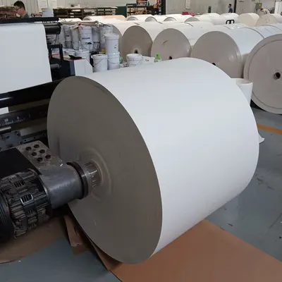 China Coated Cardboard Duplex Board