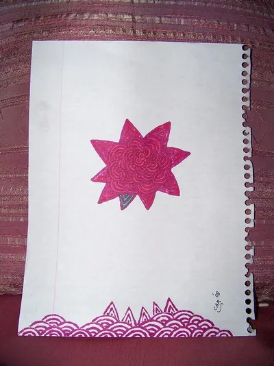Star Khalis Chakki Atta