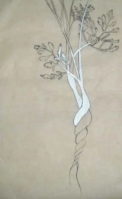 Chinese Paper-Cut Scroll by Weifang Qingyuan Import And Export Co., Ltd.