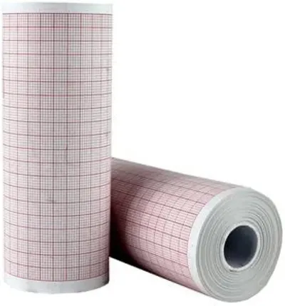 Taslon check