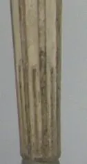 Mangrove Stick Wood
