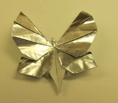 Feather butterfly