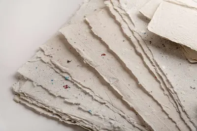 Seed Paper | Plantable Seed Paper