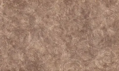 Texture Paint-sable-wall Master Rough & Tough