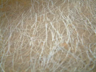 Hollow Conjugated Siliconized Fiber