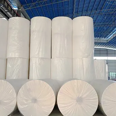 Pp Non Woven Manufacturer
