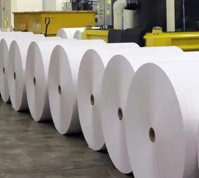 Paper cup raw material