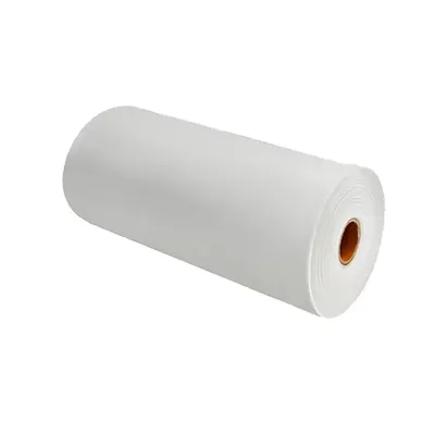 White Polypropylene Film Roll/sheet by Chengdu Kanglongxin Plastics Co., Ltd.
