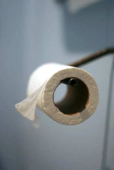 Toilet Paper Roll by Shenzhen Telling Commodity Ltd.